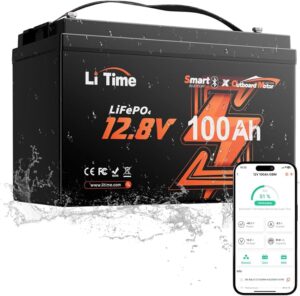 LiTime LifePO4 battery